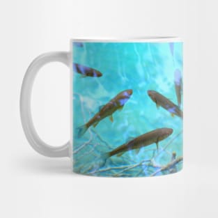 Fishes Mug